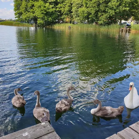 Casa de hóspedes Gosciniec Lech Kosewo (Mragowo)